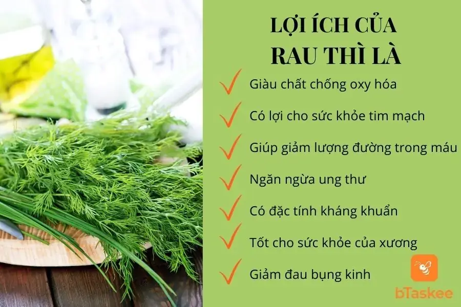 Lợi ích của thì là đối với sức khỏe