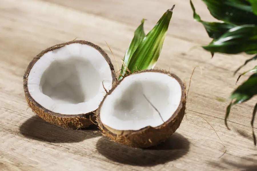 Trái dừa nhiều nước và chất dinh dưỡng
