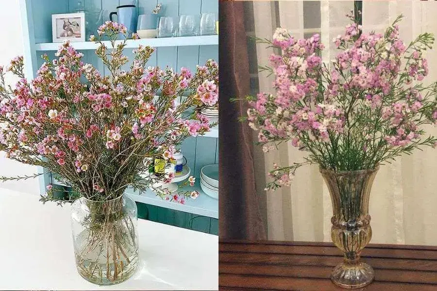 Cắm hoa thanh liễu nhanh chóng trong bình thủy tinh