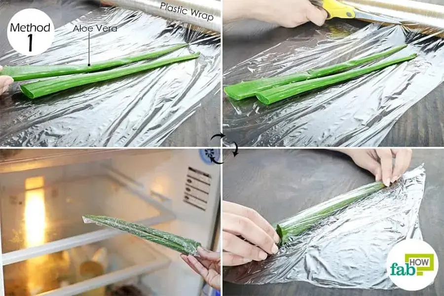 Cách bảo quản lá nha đam