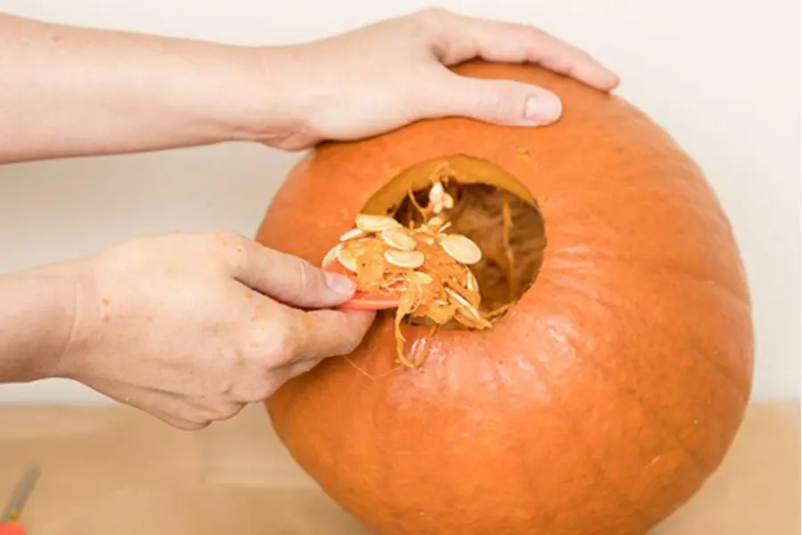 Loại bỏ tất cả phần ruột của quả bí để tạo không gian trống.