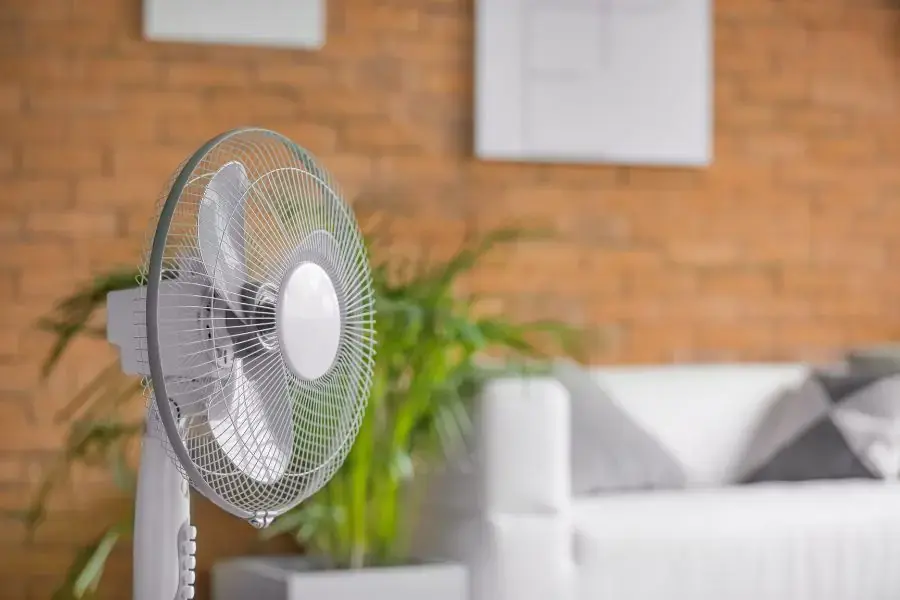 Không nên sử dụng quạt khi trời nồm vì sẽ khiến hơi nước ngưng tụ nhiều hơn