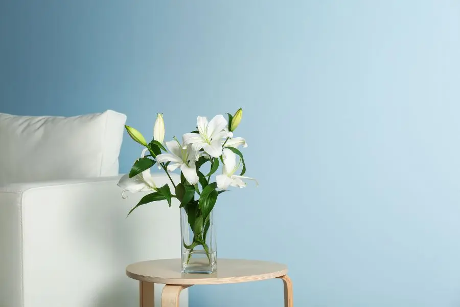 Trang trí với phòng khách với hoa ly thanh tao