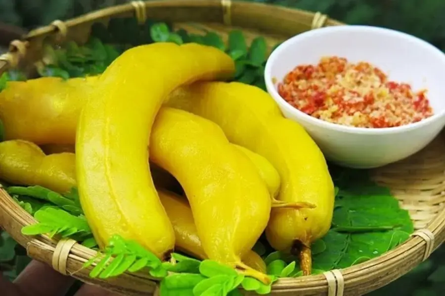 Me có đặc tính kháng khuẩn và nấm