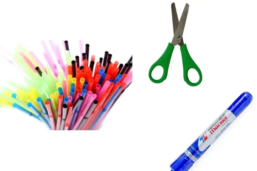 Bạn cần ống hút, kéo và bút lông để làm đồ chơi bằng ống hút nhựa