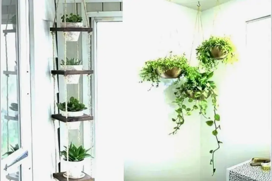 Sử dụng giỏ treo Macrame