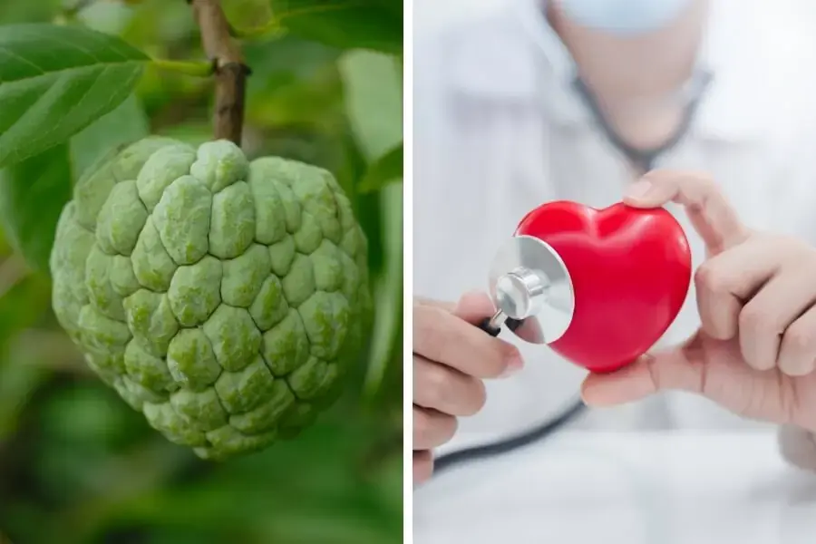 Na giàu kali có tác dụng bảo vệ sức khỏe tim mạch cho cả gia đình.