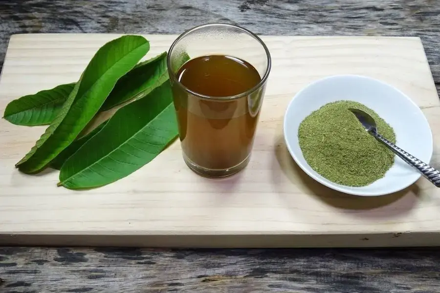 Trà xanh và lá ổi đều có công dụng giảm cân hiệu quả