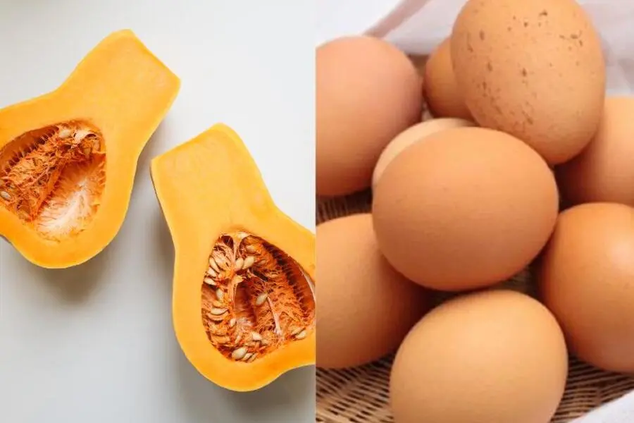 Xay bí ngô cùng vani, sữa đặc và trứng.