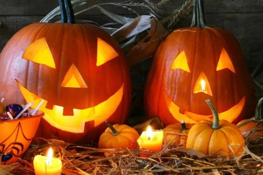 Những trái bí ngô ma quái trở thành một phần không thể thiếu trong dịp Halloween