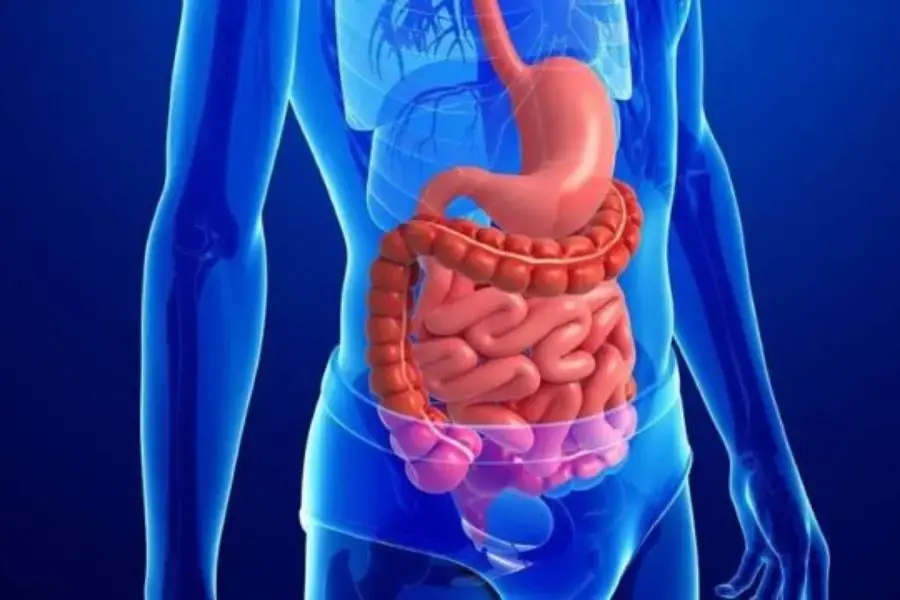 Nhịn ăn tối có thể gây ảnh hưởng xấu tới hệ tiêu hóa.
