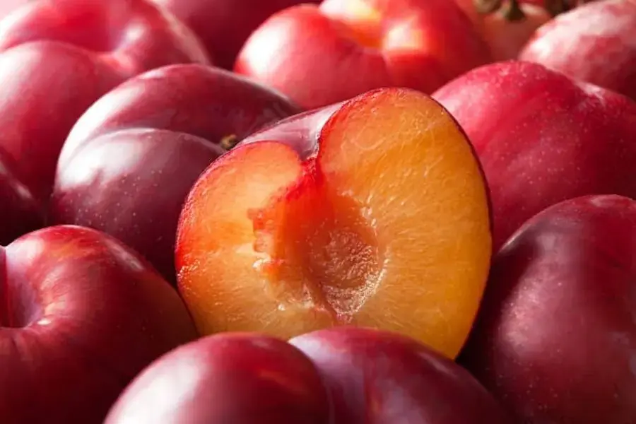 Quả mận đặc biệt chứa nhiều chất chống oxy hóa polyphenol