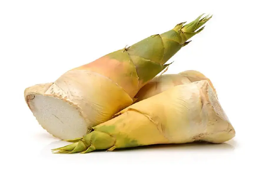 Lưu ý về cách bảo quản măng tươi (5)