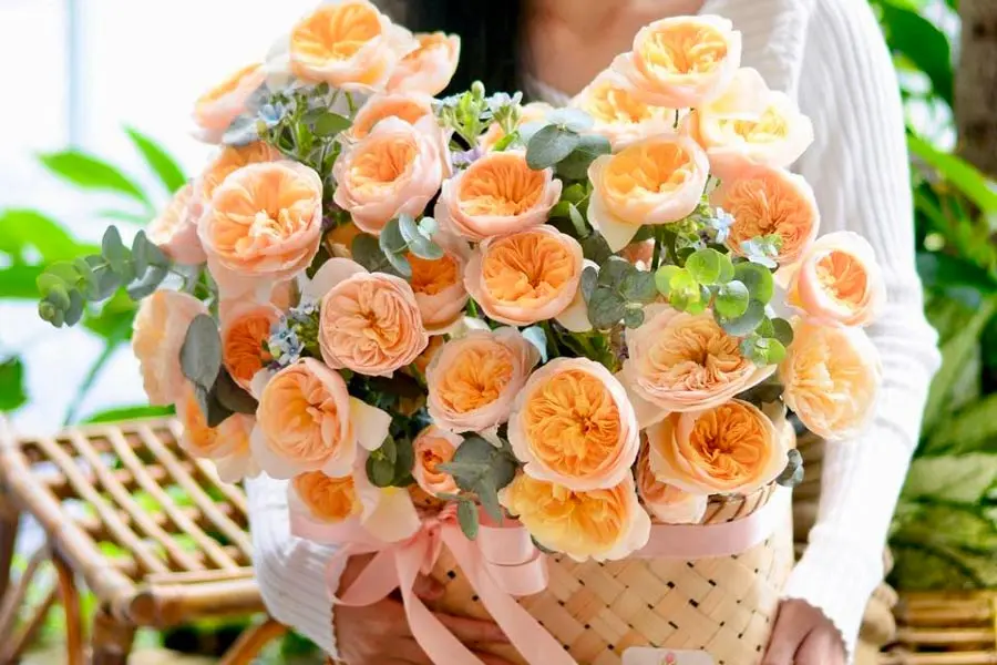 Những bó hoa rực rỡ là món quà ngày 20/11 rất ý nghĩa.