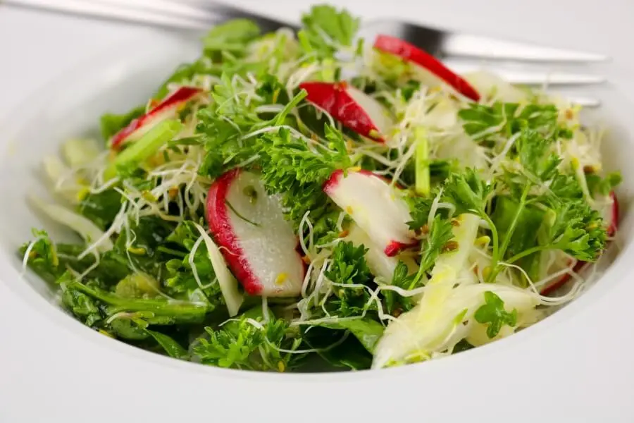 Salad dầu giấm thanh mát, ngon miệng, xua tan nỗi lo béo phì.