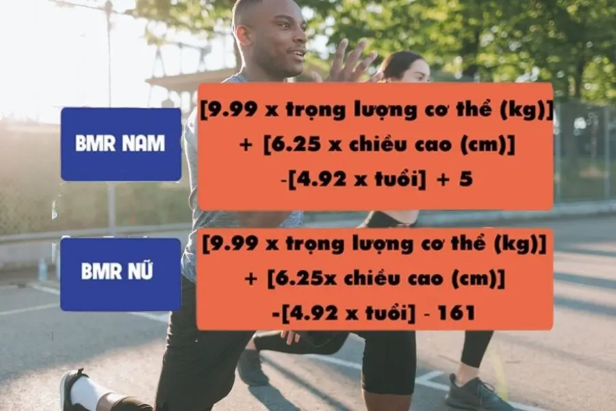 Công thức phổ biến được sử dụng để tính toán TDEE.