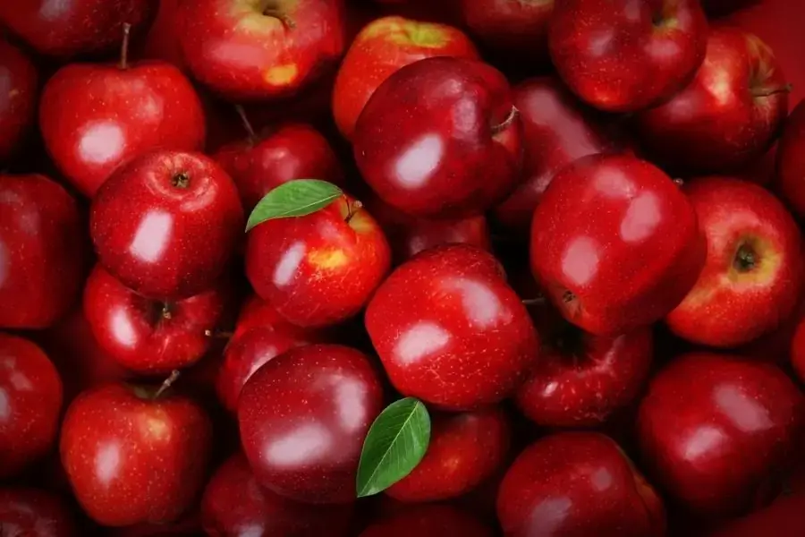 Màu sắc của táo
