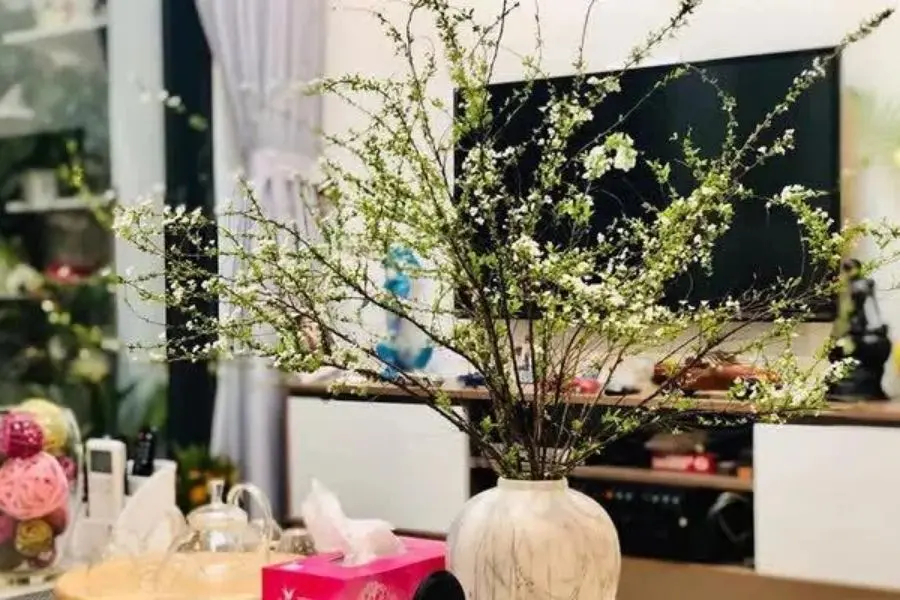 Hãy luôn quan sát và chăm sóc hoa mỗi ngày nhé!