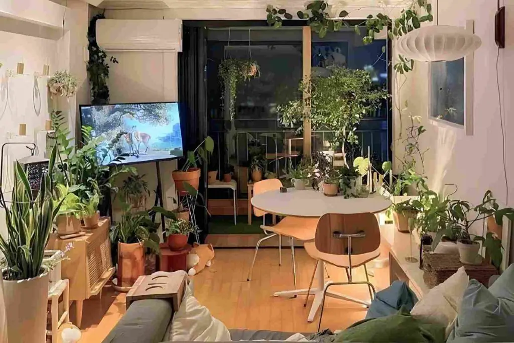 Trang trí phòng khách với chậu cây cảnh giúp không gian mát mẻ và trong lành