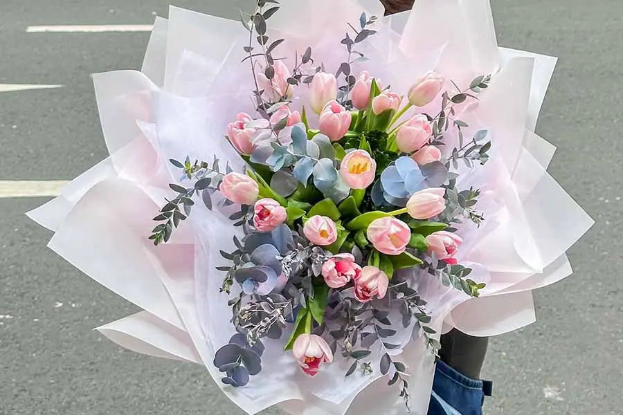 Hoa tulip luôn có sức hút rất riêng.