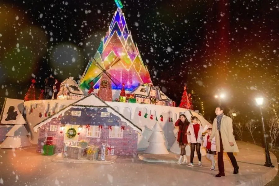 Cây măng Noel độc lạ gây thích thú cho nhiều người.