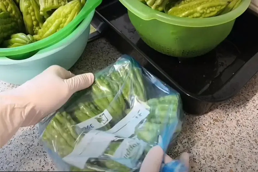Đóng gói khổ qua