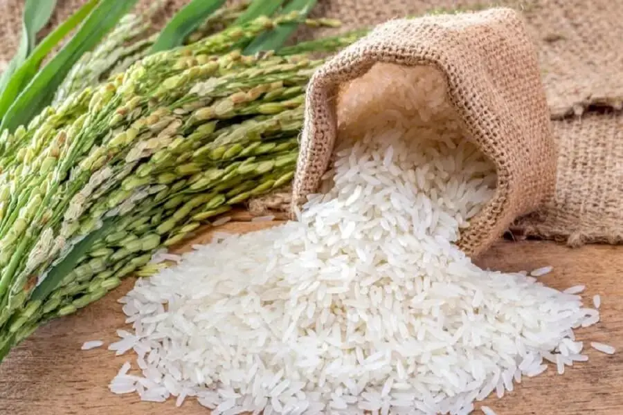 Gạo là nguyên liệu không thể thiếu khi nấu cháo (nguồn: 89bay.vn)