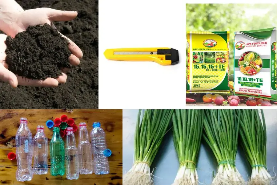 Chuẩn bị nguyên liệu trước khi trồng cây hành lá