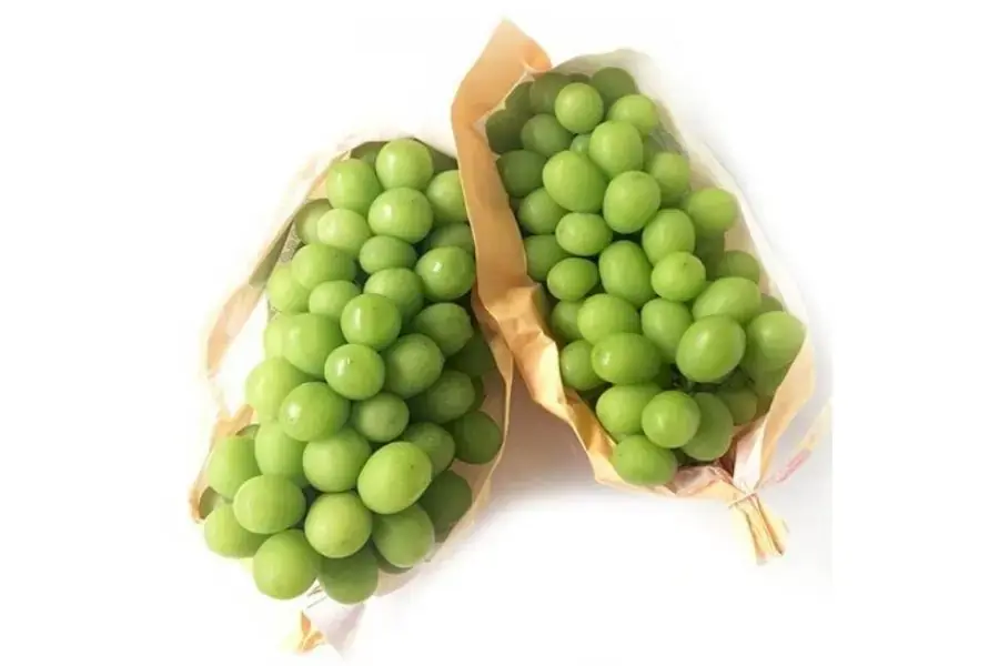 Nho mẫu đơn