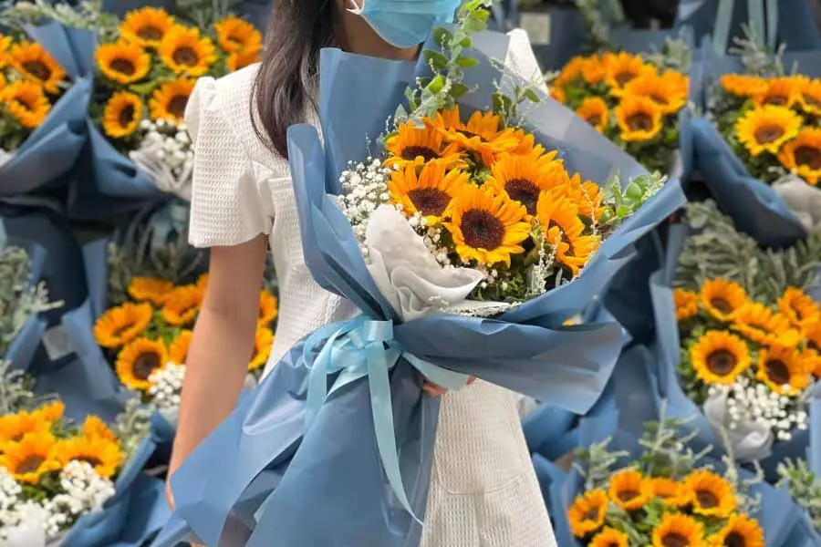 Hoa hướng dương với ý nghĩa luôn hướng về phía mặt trời rất thích hợp để tặng thầy cô.