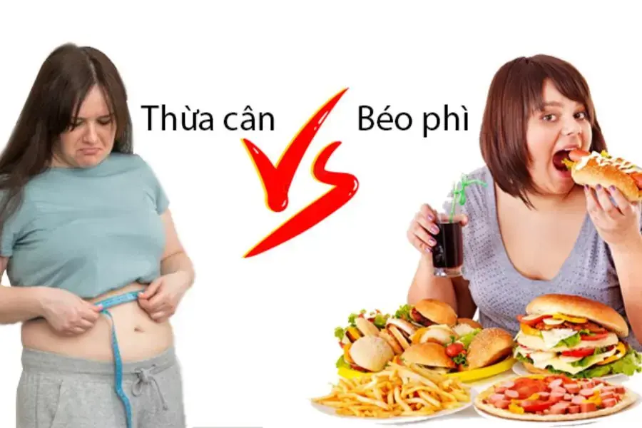Thừa calo là nguyên nhân chính dẫn đến thừa cân hay béo phì