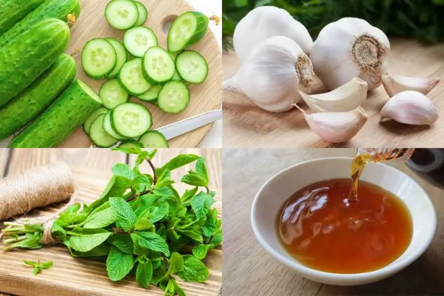 Rau bạc hà giúp cho món dưa góp trở nên thơm hơn.