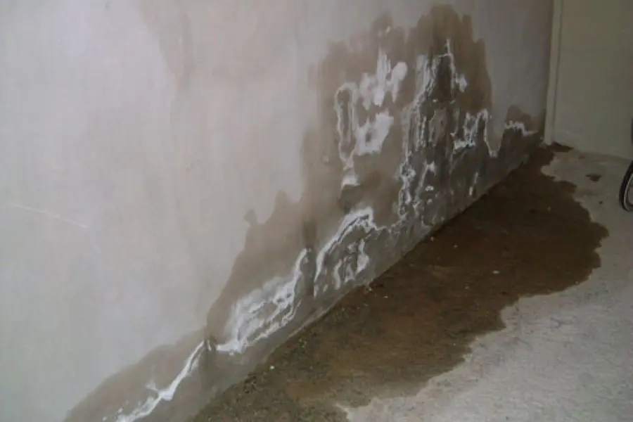 Môi trường ẩm ướt gây ra tường bị ố vàng