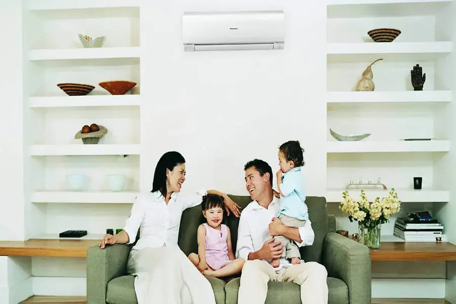 Cả hai sản phẩm đều mang lại không khí trong lành cho gia đình bạn (Hình ảnh: Krungsri)