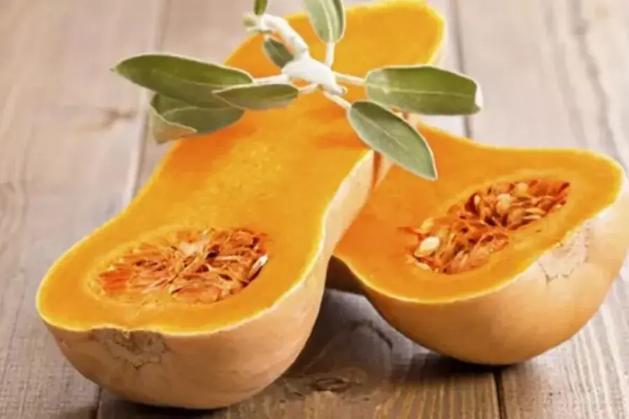 Bí đỏ mật