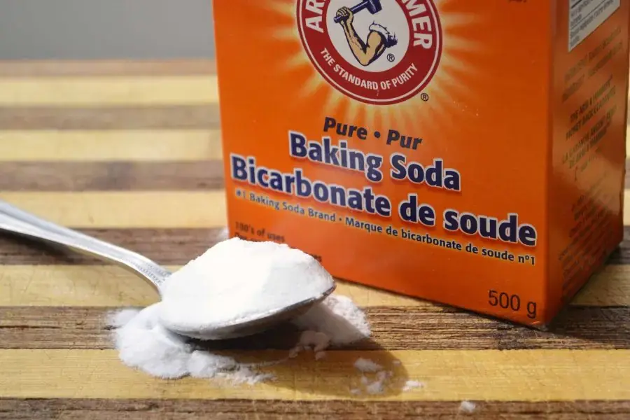 Khử mùi nước tiểu chó bằng baking soda