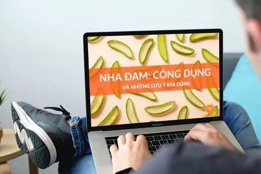 công dụng của cây nha đam trong đời sống
