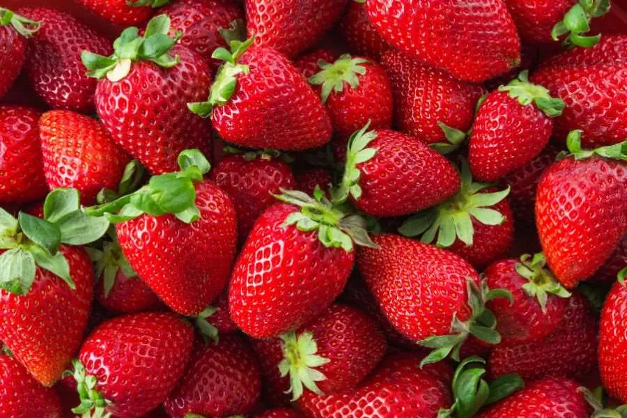 Dâu tây giàu vitamin C, canxi, vitamin giúp nâng cao sức khỏe xương khớp.