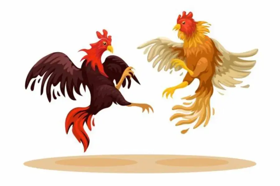 Chọi gà là một thú chơi tao nhã hầu hết ở các ngày Tết.