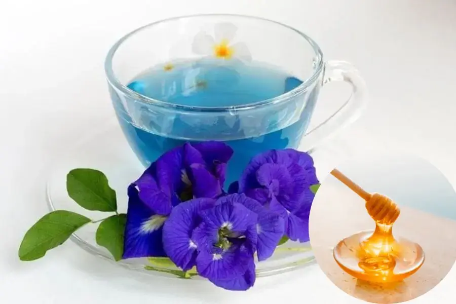 Trà hoa đậu biếc mix mật ong rất đơn giản dễ làm