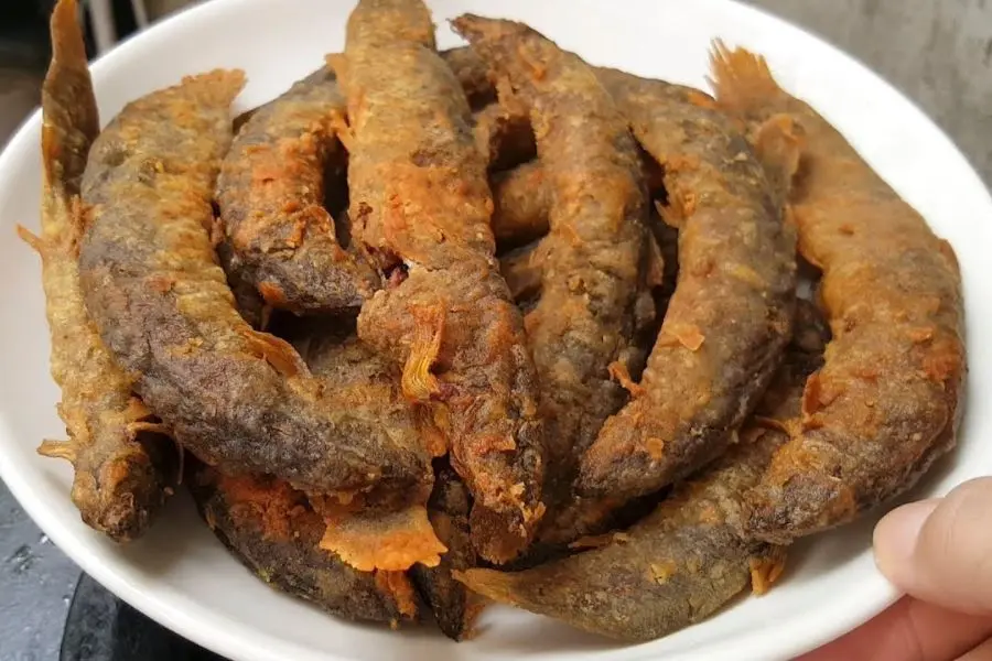 Cá chạch chiên thơm ngon, thịt béo ngọt, vỏ vàng giòn