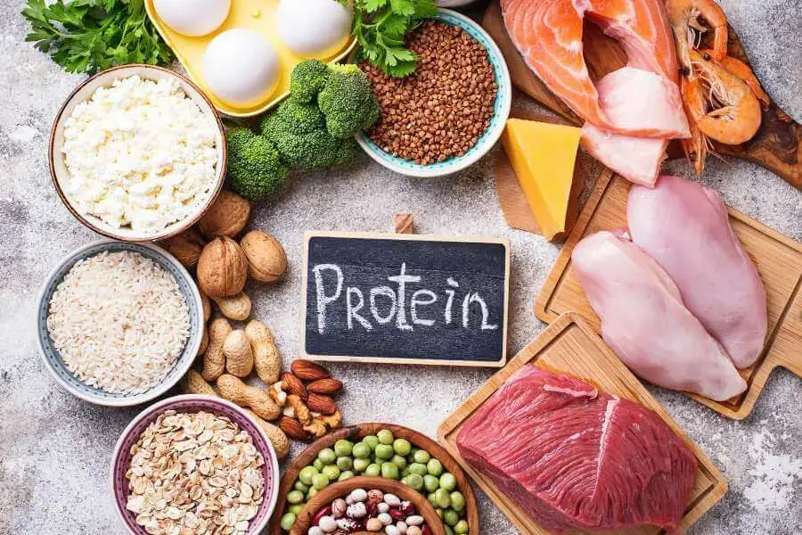 Cần chú ý đến hàm lượng protein