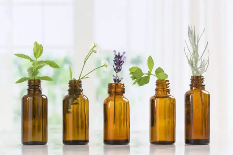 Tinh dầu còn có tác dụng là đuổi ong nữa