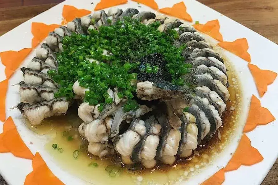 Cá chình hấp bầu thơm ngon được nhiều người ưa thích.