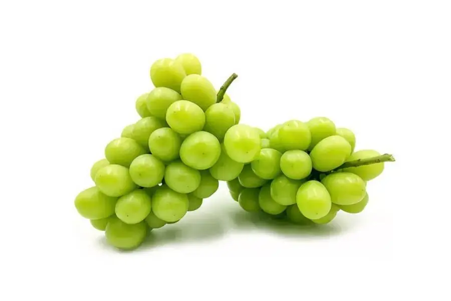 Nho mẫu đơn