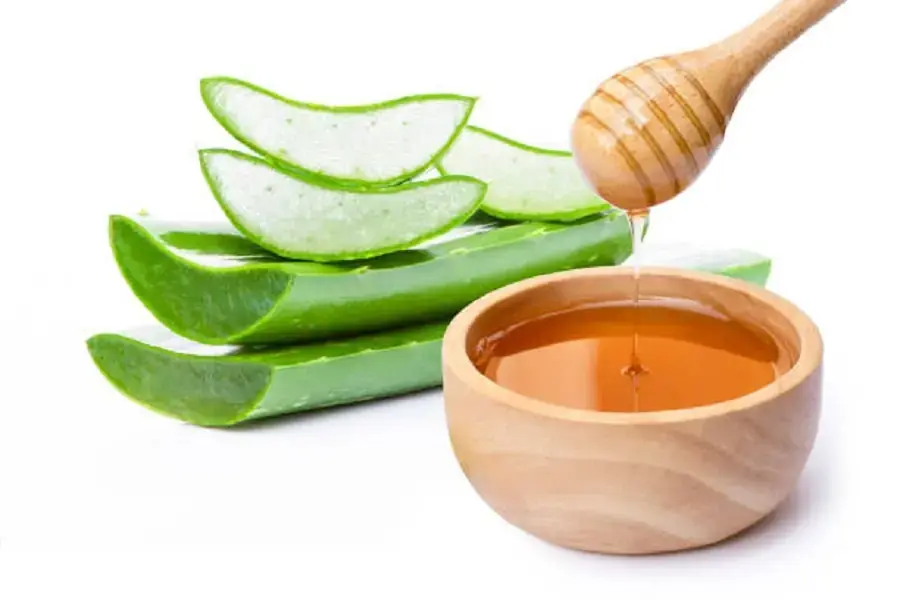 Bảo quản nha đam với mật ong
