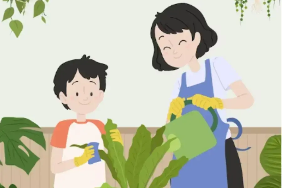 Chăm sóc, cắt tỉa để cây khỏe và đẹp