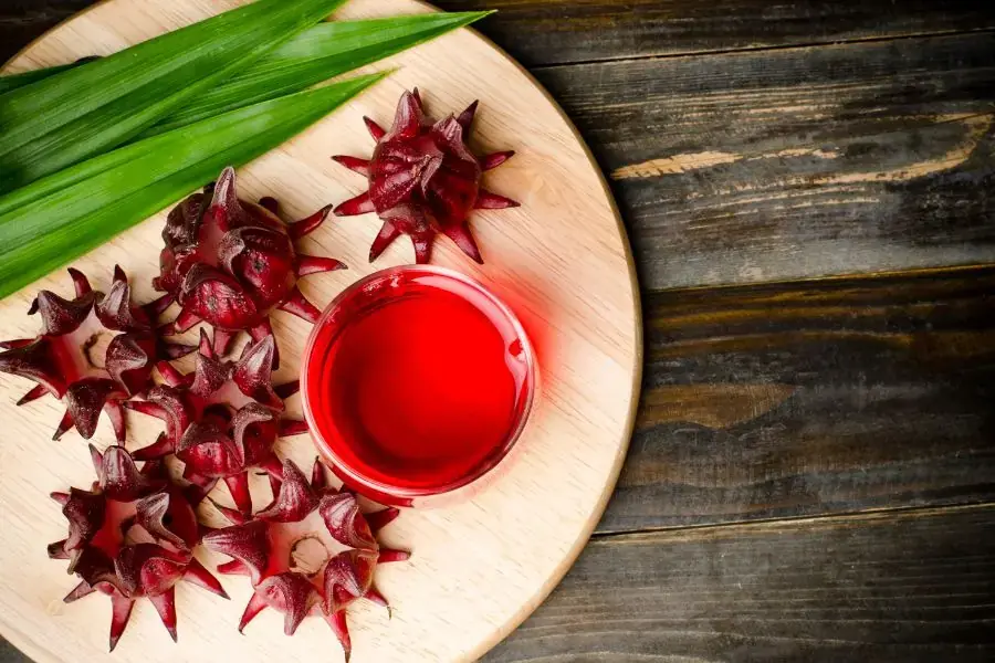 Sử dụng Atiso đỏ với lượng hợp lý, tránh lạm dụng sẽ giúp cơ thể luôn khỏe mạnh.