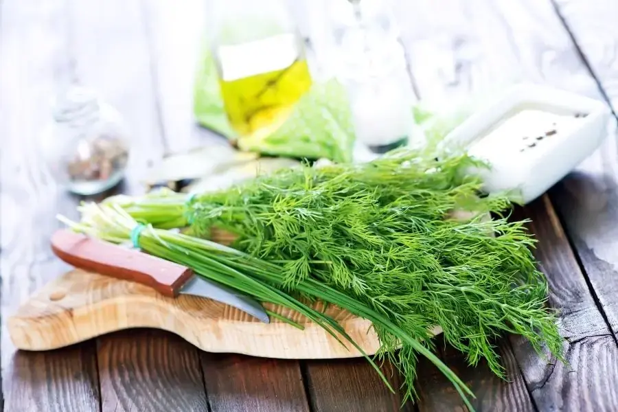 Thì là có thể có đặc tính chống ung thư