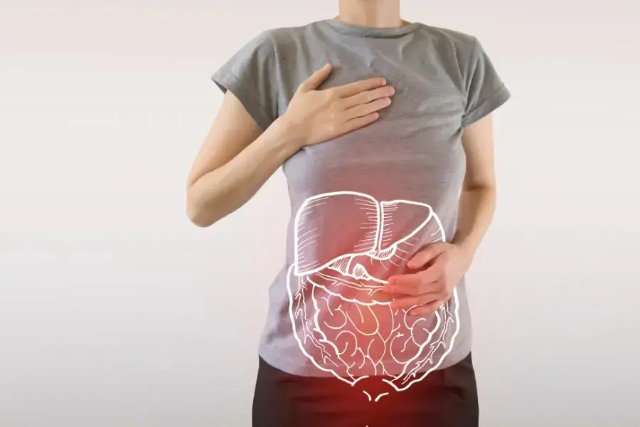Me giúp tăng cường hệ tiêu hóa trở nên khỏe mạnh hơn